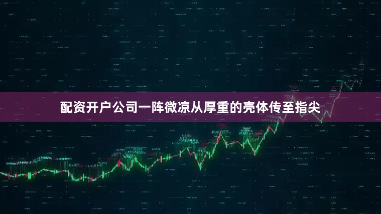 配资开户公司一阵微凉从厚重的壳体传至指尖